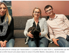 Quand les chats viennent égayer le quotidien des jeunes d’un foyer de Lesneven