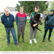 À Brest, le jardin d’écopâturage du Semo inauguré