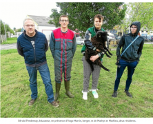 À Brest, le jardin d’écopâturage du Semo inauguré