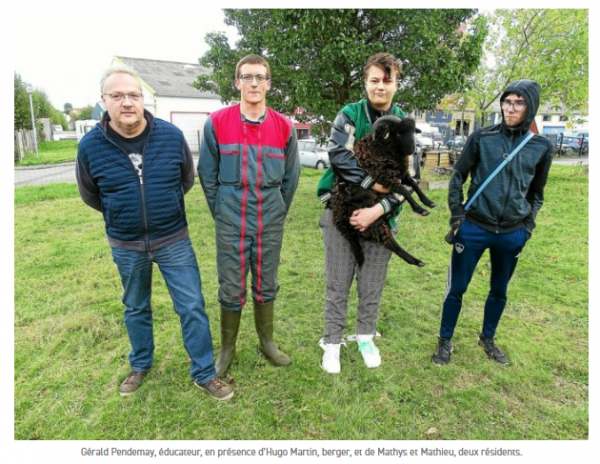 À Brest, le jardin d’écopâturage du Semo inauguré | Blog de l'ADSEA 29